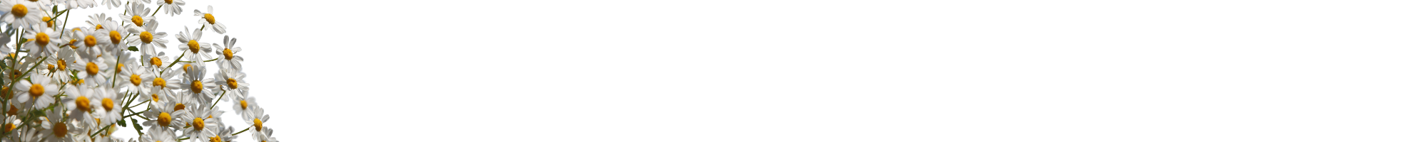 Nervous System <span style="color:#c0e5e2">Resilience</span>