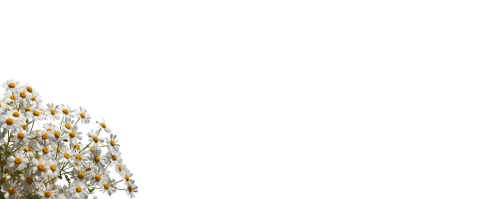 Nervous System <span style="color:#c0e5e2">Resilience</span>